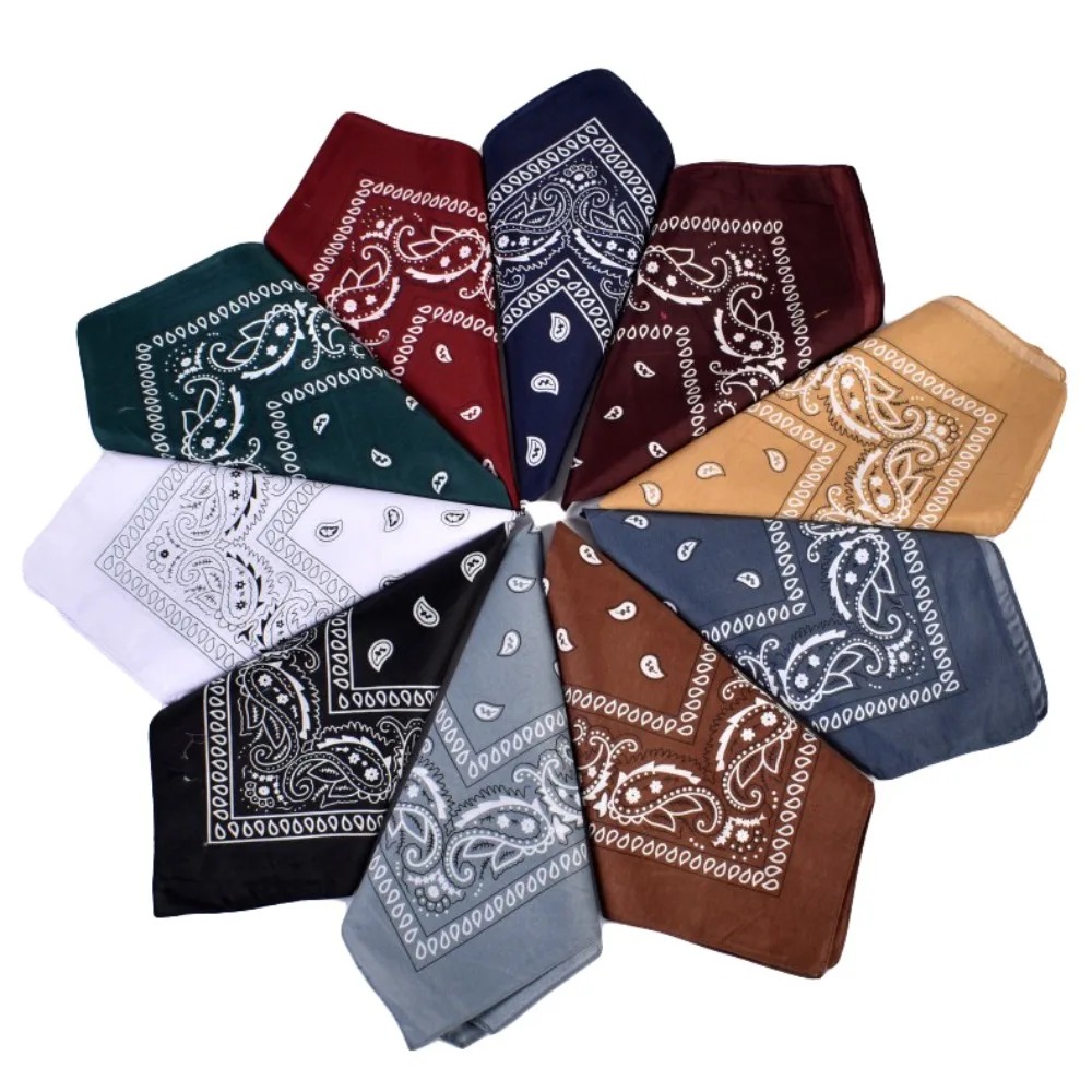 Hip Hop Cowboy Paisley Scarf L - Ascot Neck Scarf reseña y precio